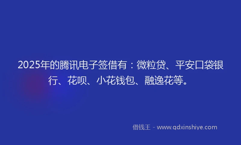 2025年的腾讯电子签借有：微粒贷、平安口袋银行、花呗、小花钱包、融逸花等。