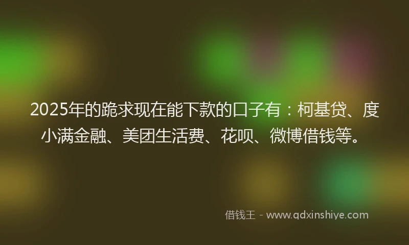 2025年的跪求现在能下款的口子有：柯基贷、度小满金融、美团生活费、花呗、微博借钱等。