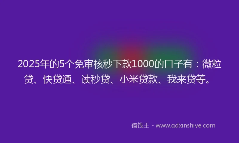 2025年的5个免审核秒下款1000的口子有：微粒贷、快贷通、读秒贷、小米贷款、我来贷等。