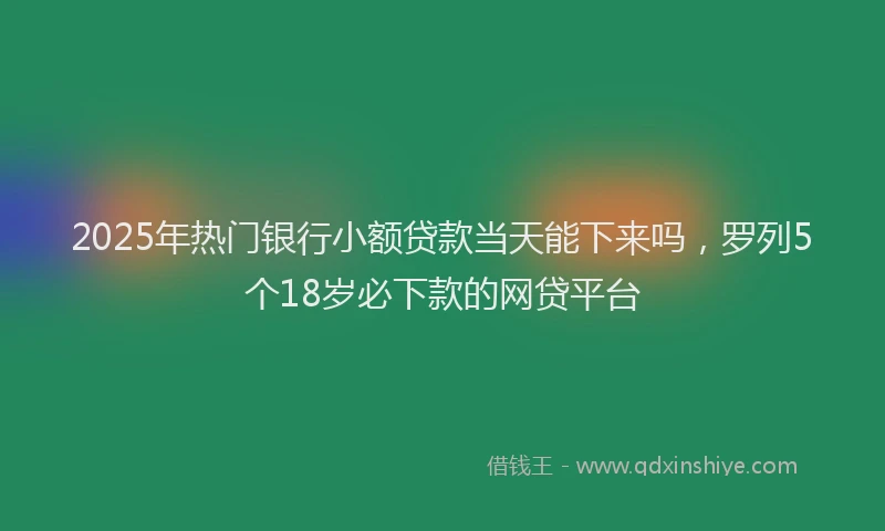 2025年热门银行小额贷款当天能下来吗，罗列5个18岁必下款的网贷平台