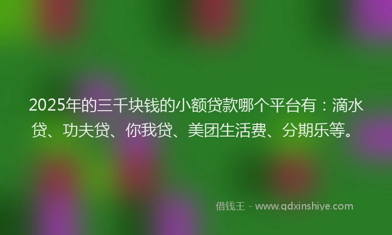 2025年的三千块钱的小额贷款哪个平台有：滴水贷、功夫贷、你我贷、美团生活费、分期乐等。