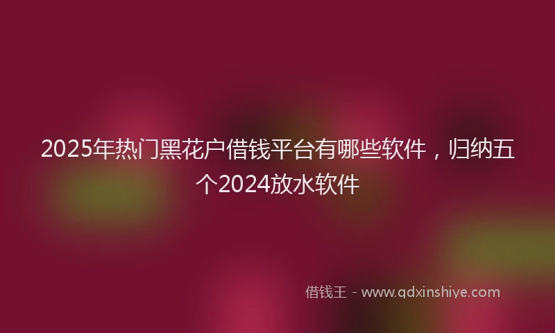 2025年热门黑花户借钱平台有哪些软件，归纳五个2024放水软件