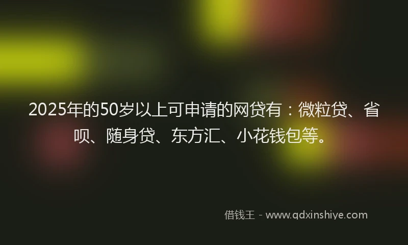 2025年的50岁以上可申请的网贷有：微粒贷、省呗、随身贷、东方汇、小花钱包等。