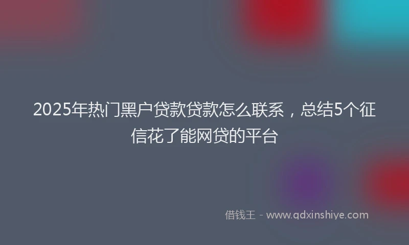 2025年热门黑户贷款贷款怎么联系，总结5个征信花了能网贷的平台