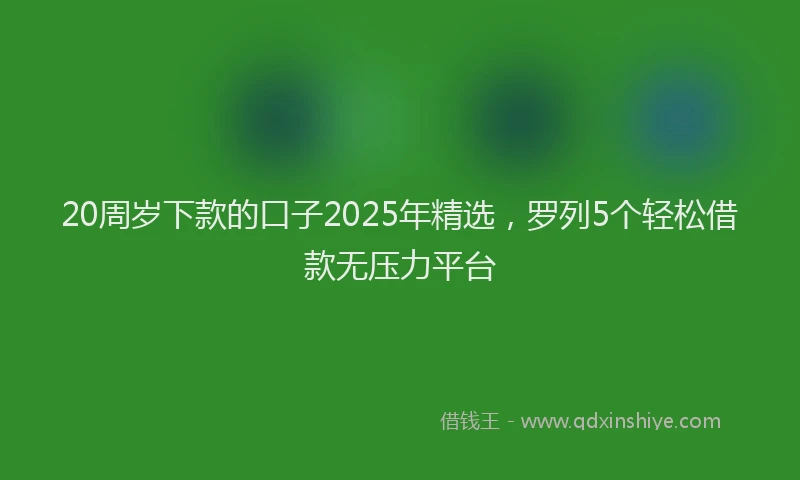 20周岁下款的口子2025年精选，罗列5个轻松借款无压力平台