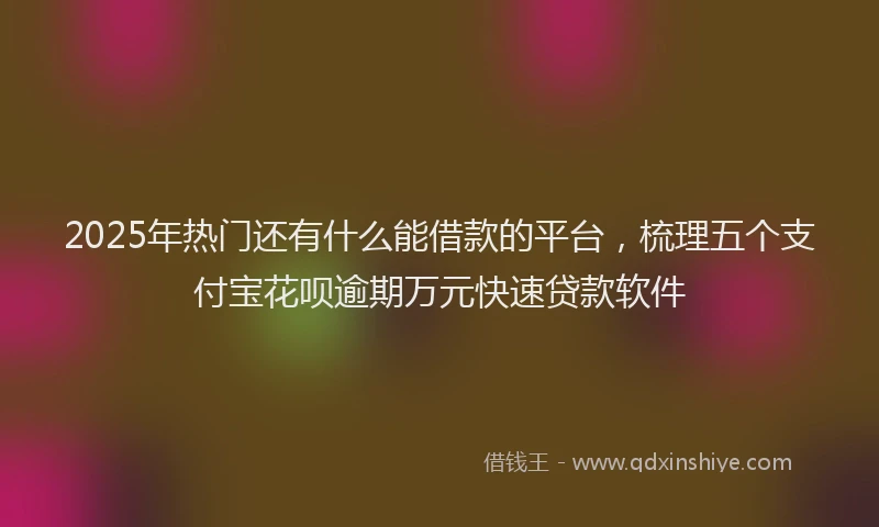 2025年热门还有什么能借款的平台，梳理五个支付宝花呗逾期万元快速贷款软件