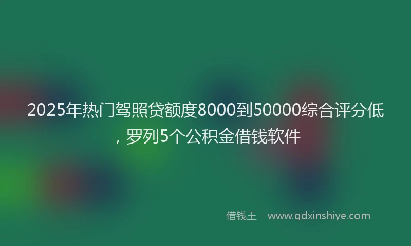 2025年热门驾照贷额度8000到50000综合评分低，罗列5个公积金借钱软件