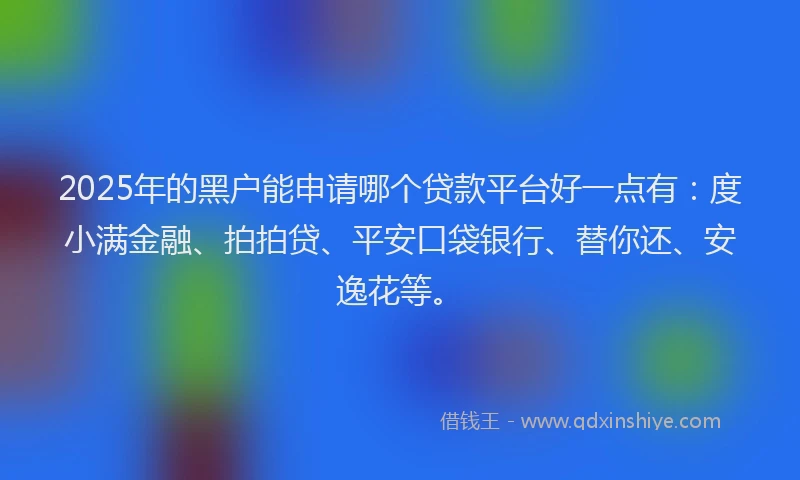 2025年的黑户能申请哪个贷款平台好一点有：度小满金融、拍拍贷、平安口袋银行、替你还、安逸花等。