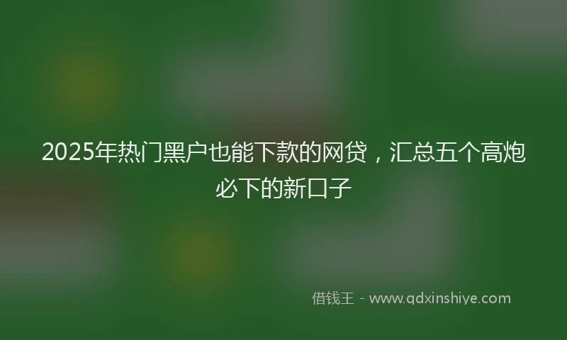2025年热门黑户也能下款的网贷，汇总五个高炮必下的新口子