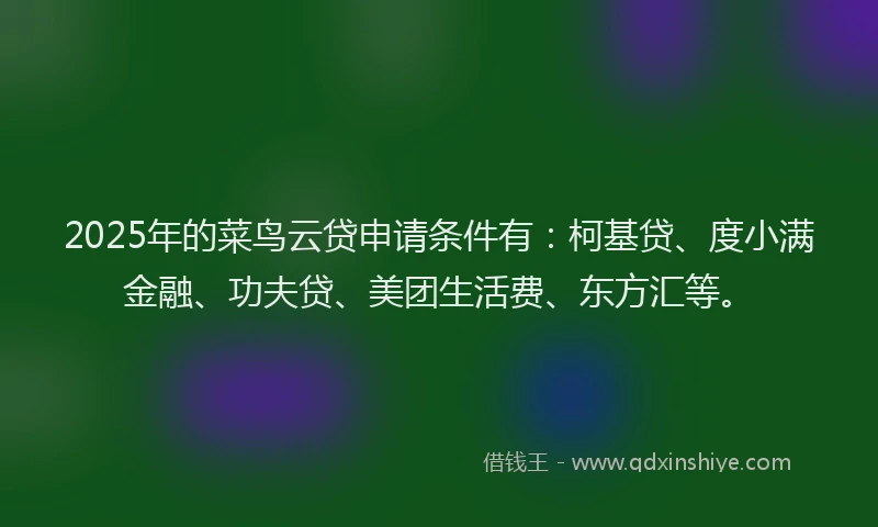 2025年的菜鸟云贷申请条件有：柯基贷、度小满金融、功夫贷、美团生活费、东方汇等。