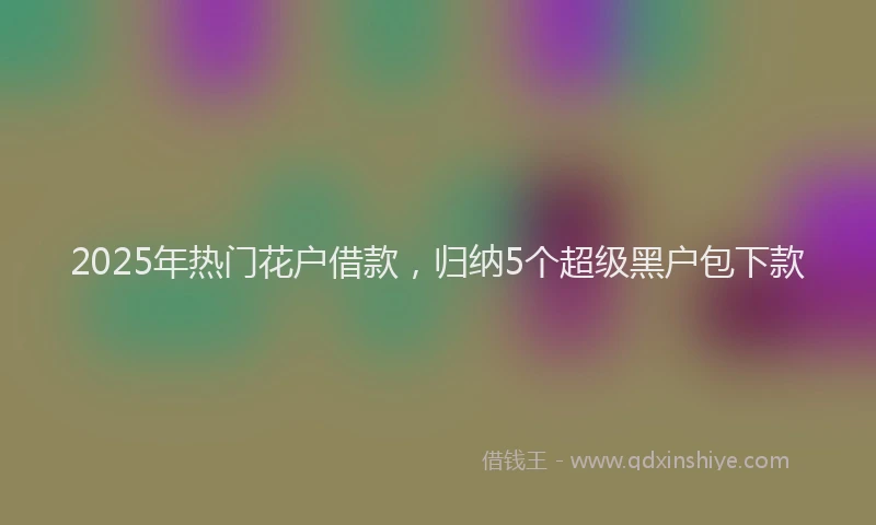 2025年热门花户借款，归纳5个超级黑户包下款