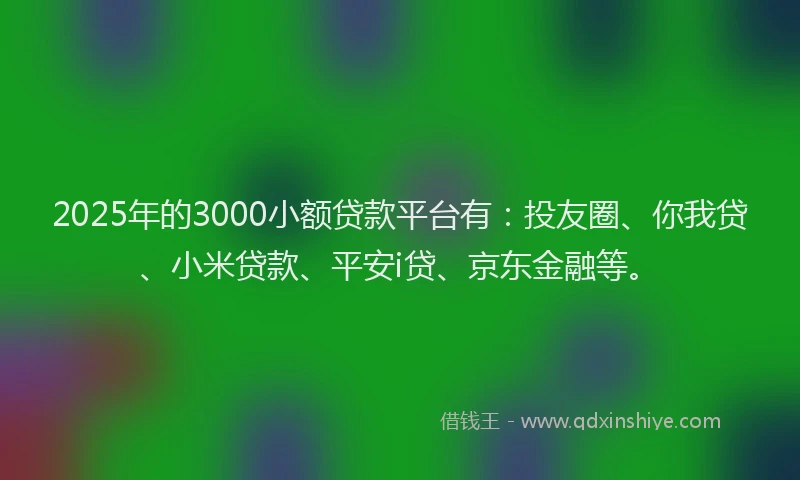 2025年的3000小额贷款平台有：投友圈、你我贷、小米贷款、平安i贷、京东金融等。