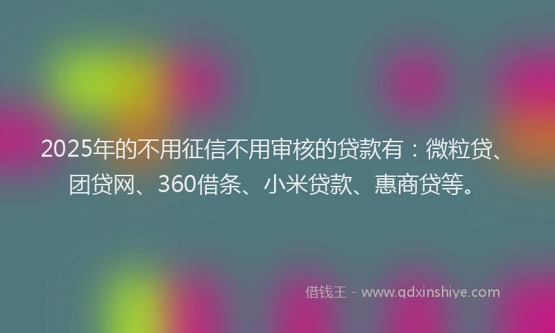 2025年的不用征信不用审核的贷款有：微粒贷、团贷网、360借条、小米贷款、惠商贷等。