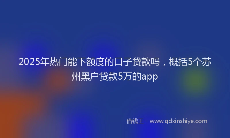 2025年热门能下额度的口子贷款吗，概括5个苏州黑户贷款5万的app