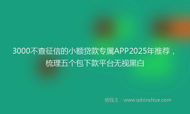 3000不查征信的小额贷款专属APP2025年推荐，梳理五个包下款平台无视黑白