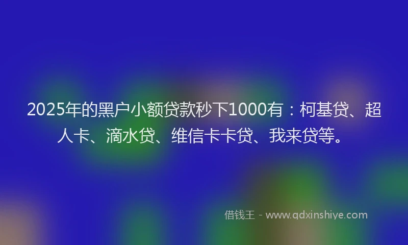 2025年的黑户小额贷款秒下1000有：柯基贷、超人卡、滴水贷、维信卡卡贷、我来贷等。