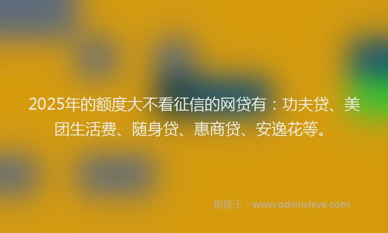 2025年的额度大不看征信的网贷有：功夫贷、美团生活费、随身贷、惠商贷、安逸花等。
