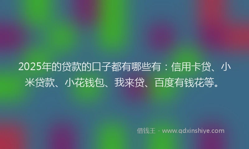 2025年的贷款的口子都有哪些有：信用卡贷、小米贷款、小花钱包、我来贷、百度有钱花等。