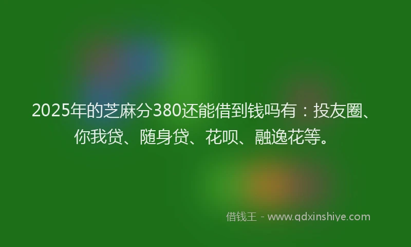 2025年的芝麻分380还能借到钱吗有：投友圈、你我贷、随身贷、花呗、融逸花等。