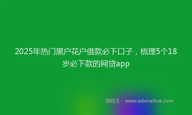 2025年热门黑户花户借款必下口子，梳理5个18岁必下款的网贷app