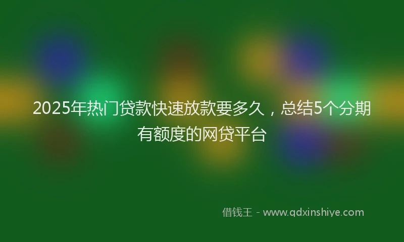 2025年热门贷款快速放款要多久，总结5个分期有额度的网贷平台
