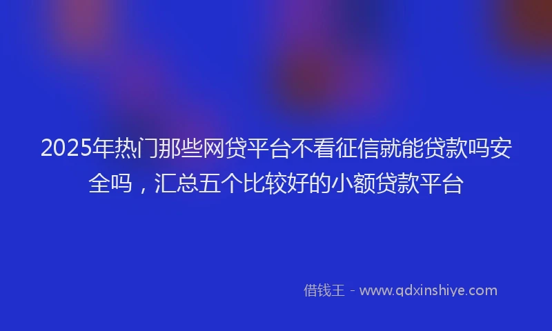 2025年热门那些网贷平台不看征信就能贷款吗安全吗，汇总五个比较好的小额贷款平台