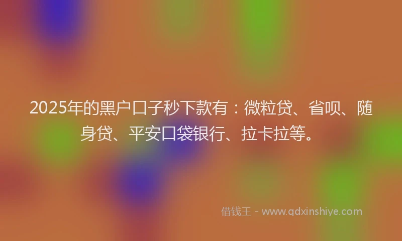 2025年的黑户口子秒下款有：微粒贷、省呗、随身贷、平安口袋银行、拉卡拉等。