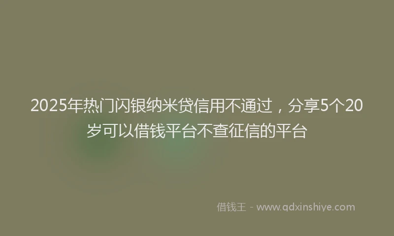 2025年热门闪银纳米贷信用不通过，分享5个20岁可以借钱平台不查征信的平台
