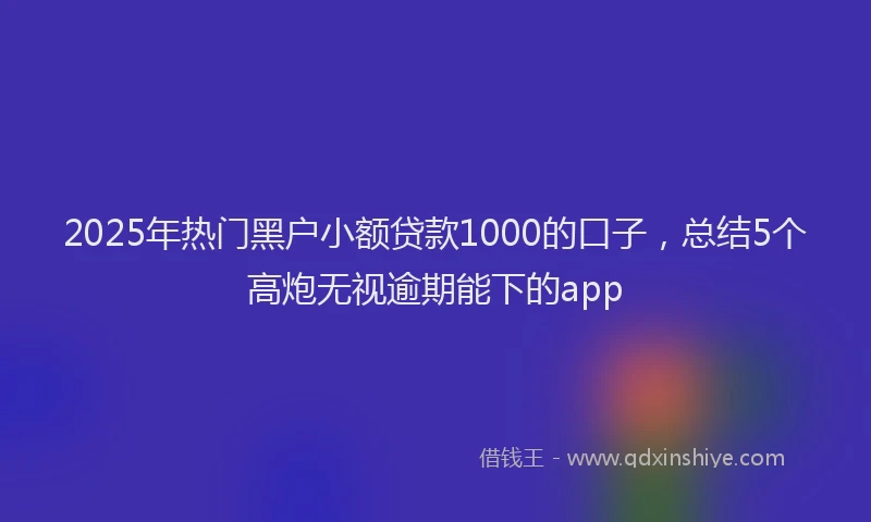 2025年热门黑户小额贷款1000的口子，总结5个高炮无视逾期能下的app