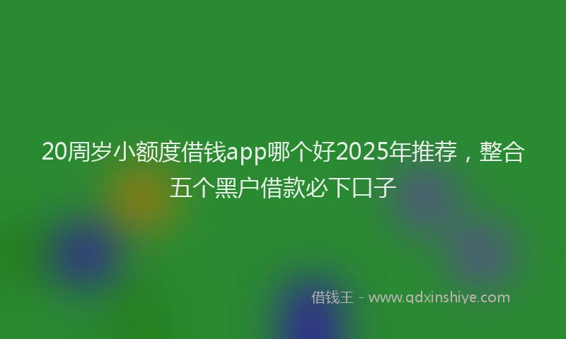 20周岁小额度借钱app哪个好2025年推荐，整合五个黑户借款必下口子