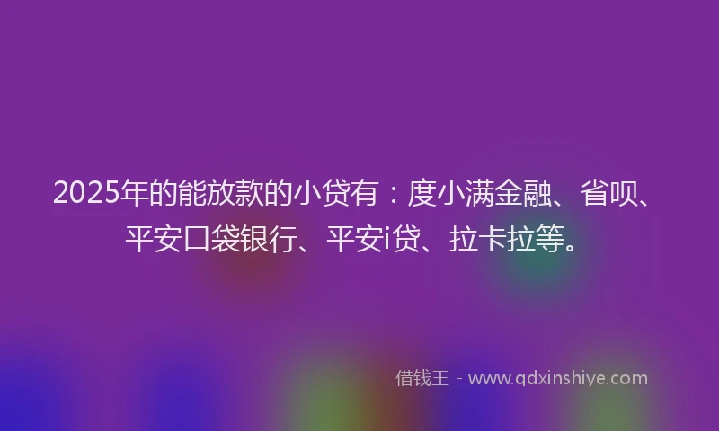 2025年的能放款的小贷有：度小满金融、省呗、平安口袋银行、平安i贷、拉卡拉等。
