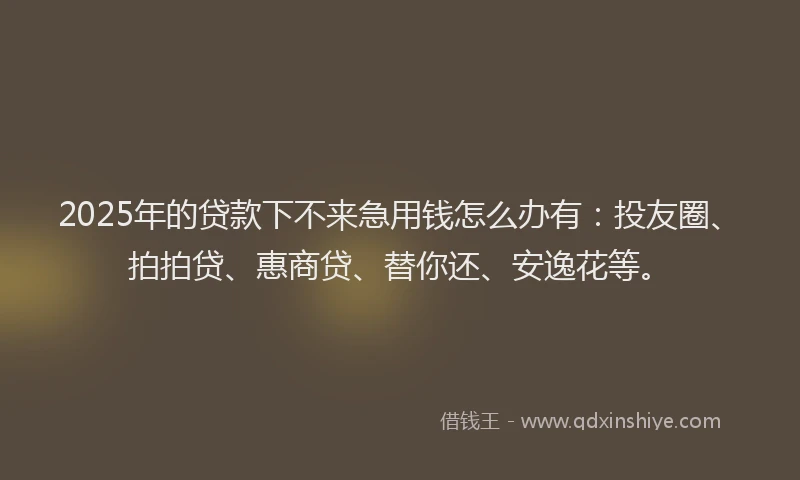 2025年的贷款下不来急用钱怎么办有：投友圈、拍拍贷、惠商贷、替你还、安逸花等。