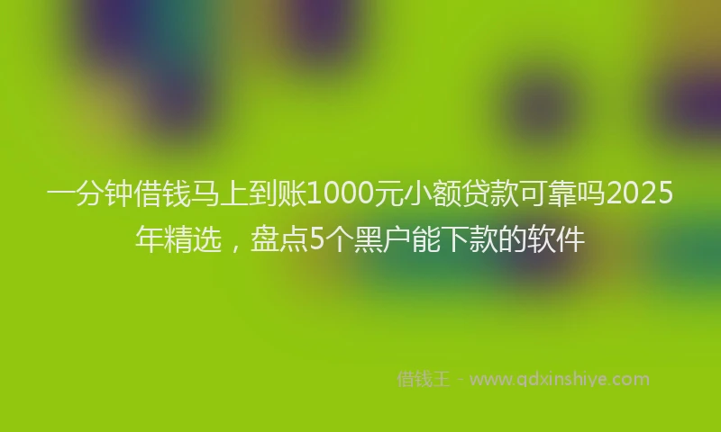 一分钟借钱马上到账1000元小额贷款可靠吗2025年精选，盘点5个黑户能下款的软件