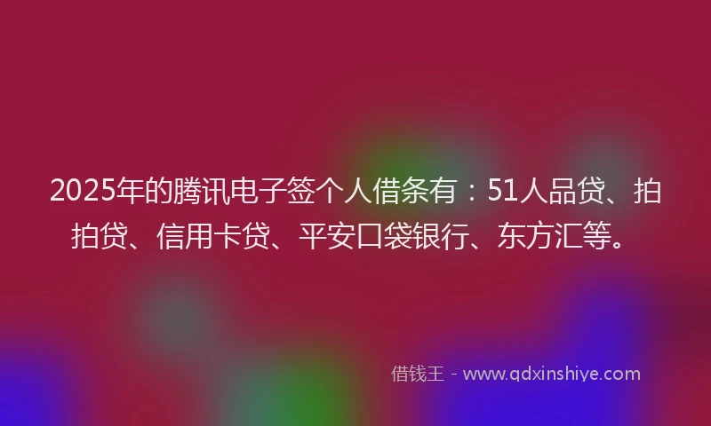 2025年的腾讯电子签个人借条有：51人品贷、拍拍贷、信用卡贷、平安口袋银行、东方汇等。