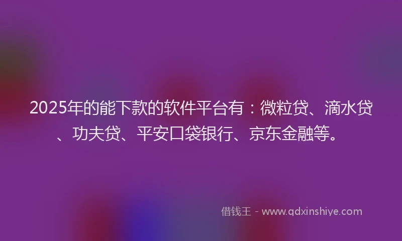 2025年的能下款的软件平台有：微粒贷、滴水贷、功夫贷、平安口袋银行、京东金融等。