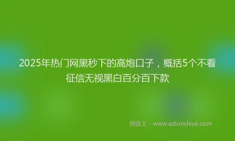 2025年热门网黑秒下的高炮口子，概括5个不看征信无视黑白百分百下款