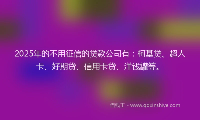 2025年的不用征信的贷款公司有：柯基贷、超人卡、好期贷、信用卡贷、洋钱罐等。