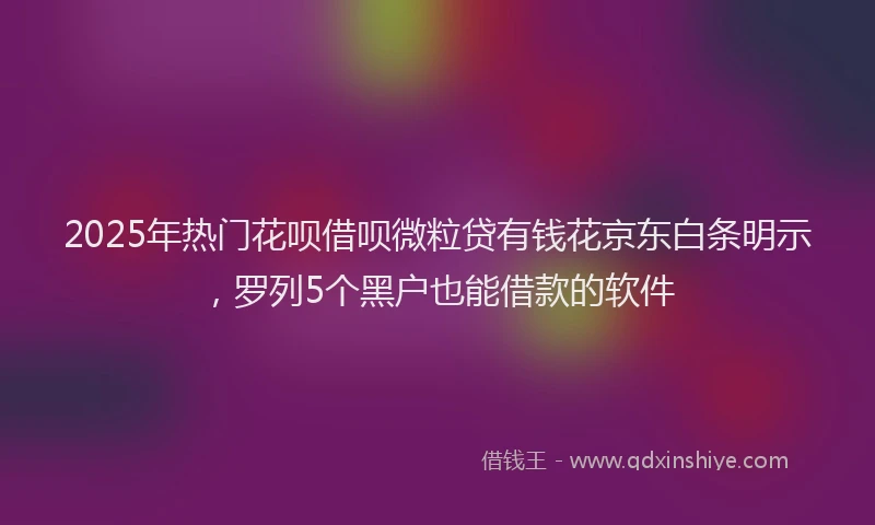 2025年热门花呗借呗微粒贷有钱花京东白条明示，罗列5个黑户也能借款的软件