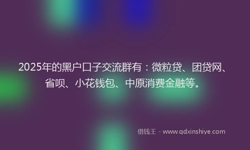 2025年的黑户口子交流群有：微粒贷、团贷网、省呗、小花钱包、中原消费金融等。