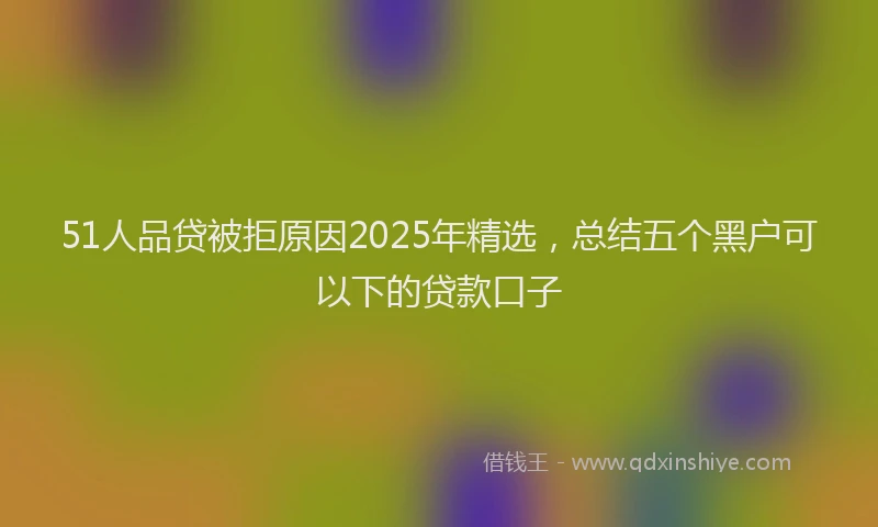 51人品贷被拒原因2025年精选，总结五个黑户可以下的贷款口子