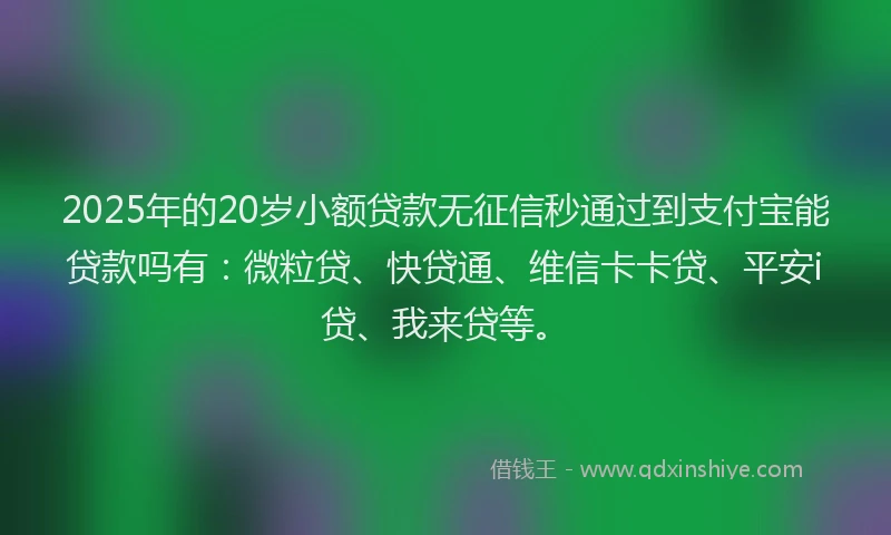 2025年的20岁小额贷款无征信秒通过到支付宝能贷款吗有：微粒贷、快贷通、维信卡卡贷、平安i贷、我来贷等。
