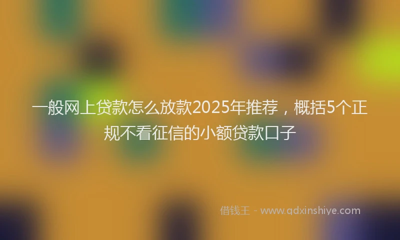一般网上贷款怎么放款2025年推荐，概括5个正规不看征信的小额贷款口子
