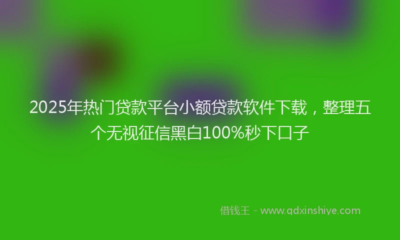 2025年热门贷款平台小额贷款软件下载，整理五个无视征信黑白100%秒下口子