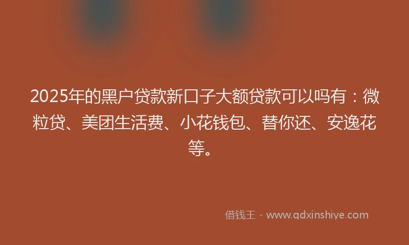 2025年的黑户贷款新口子大额贷款可以吗有：微粒贷、美团生活费、小花钱包、替你还、安逸花等。