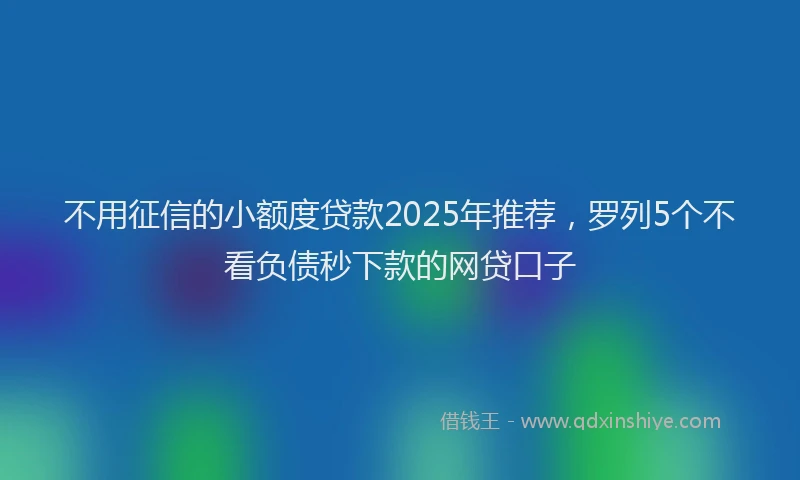 不用征信的小额度贷款2025年推荐，罗列5个不看负债秒下款的网贷口子