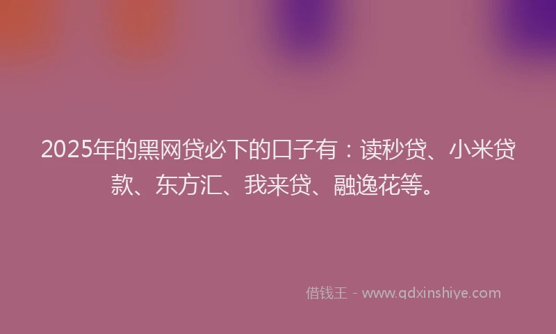 2025年的黑网贷必下的口子有：读秒贷、小米贷款、东方汇、我来贷、融逸花等。