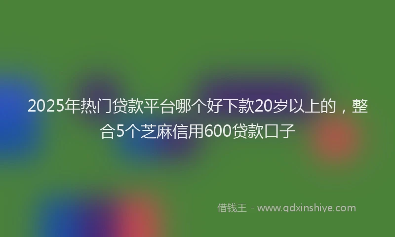 2025年热门贷款平台哪个好下款20岁以上的，整合5个芝麻信用600贷款口子