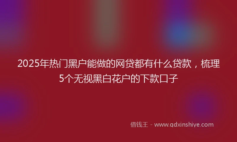 2025年热门黑户能做的网贷都有什么贷款，梳理5个无视黑白花户的下款口子