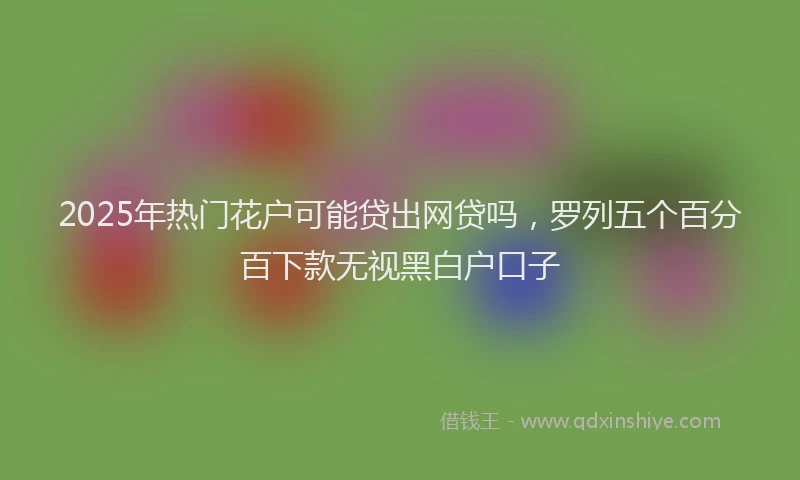 2025年热门花户可能贷出网贷吗，罗列五个百分百下款无视黑白户口子