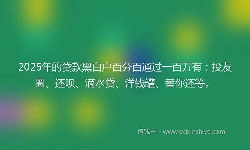 2025年的贷款黑白户百分百通过一百万有：投友圈、还呗、滴水贷、洋钱罐、替你还等。